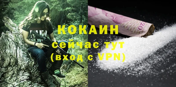 прущая мука Вяземский