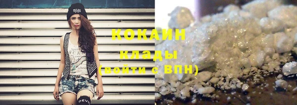 прущая мука Вяземский