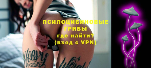прущая мука Вяземский