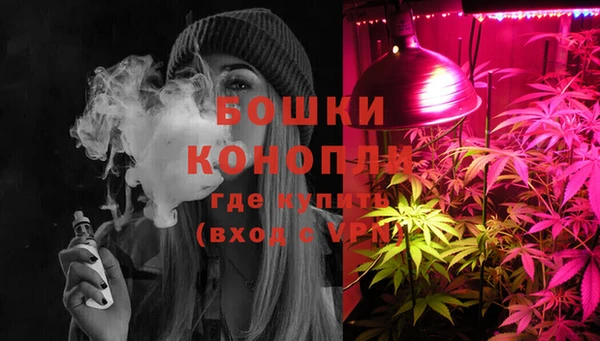 прущая мука Вяземский