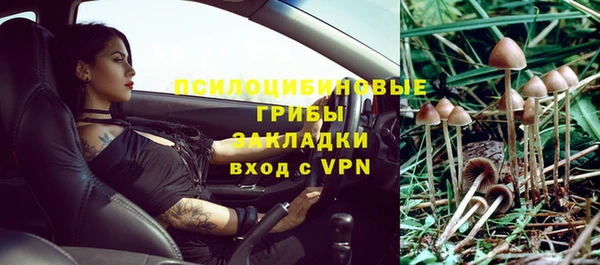 тгк Горнозаводск