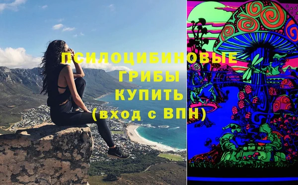 тгк Горняк