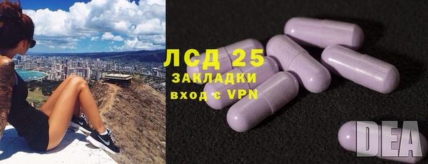 прущая мука Вяземский
